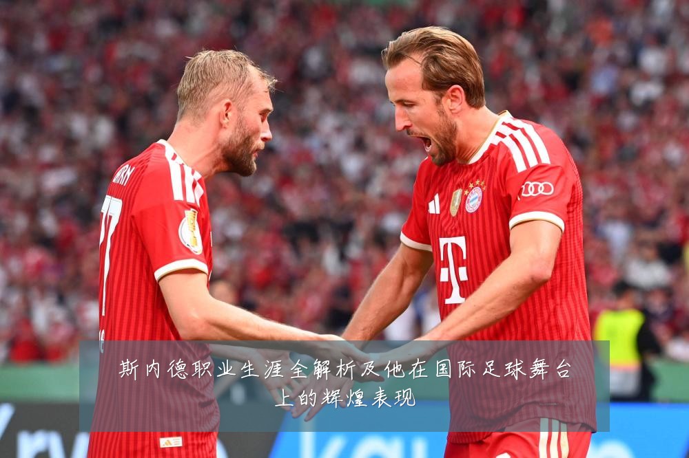 斯内德职业生涯全解析及他在国际足球舞台上的辉煌表现